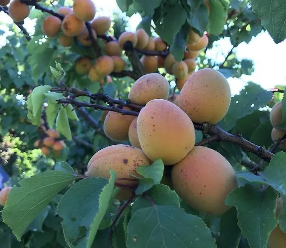 Agriturismo Ca Lunati Kır Evi Castelletto Mendosio