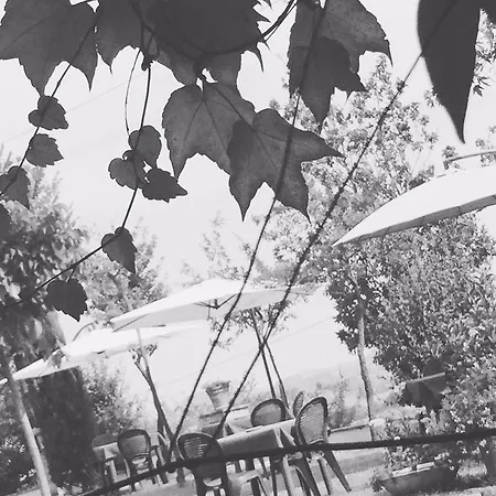 Εξοχικό σπίτι Agriturismo Ca Lunati Castelletto Mendosio