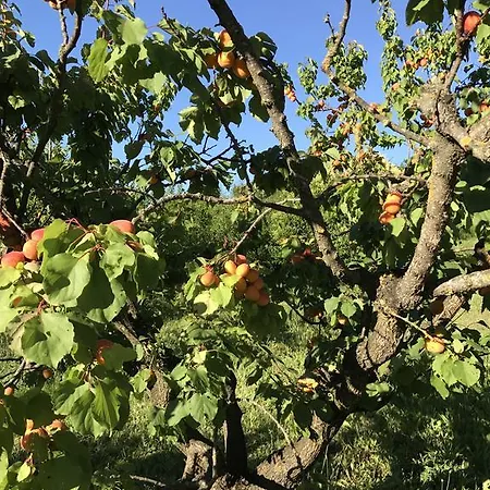 Agriturismo Ca Lunati *