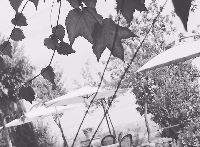 Kır Evi Agriturismo Ca Lunati Castelletto Mendosio