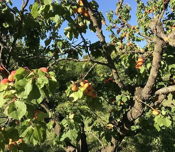 Agriturismo Ca Lunati *
